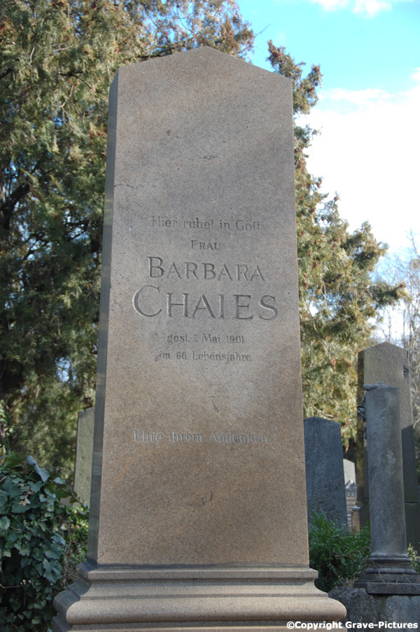 Chaies Barbara