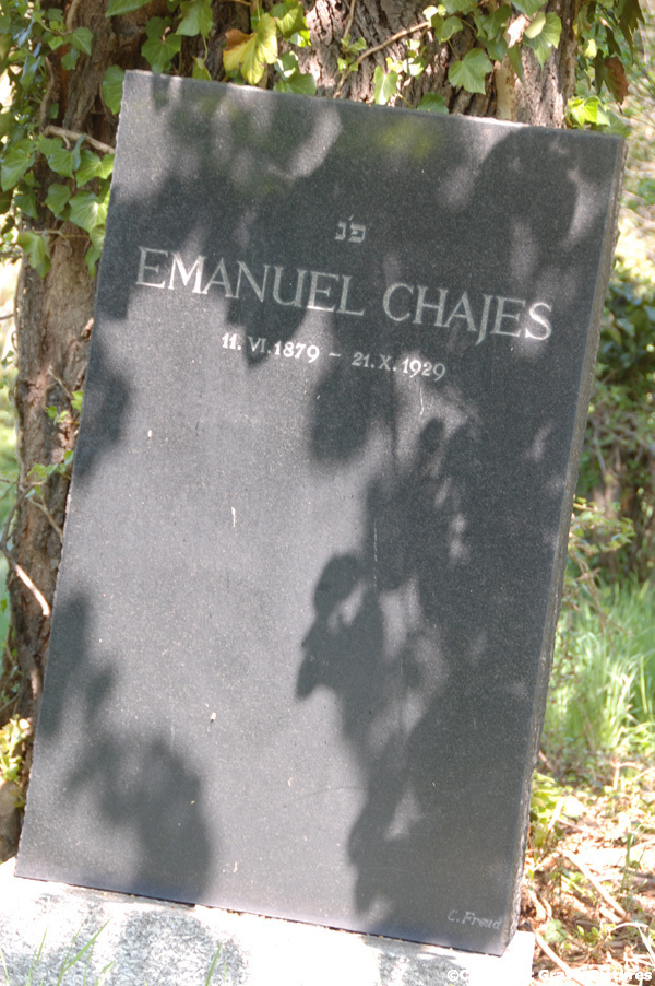 Chajes Emanuel