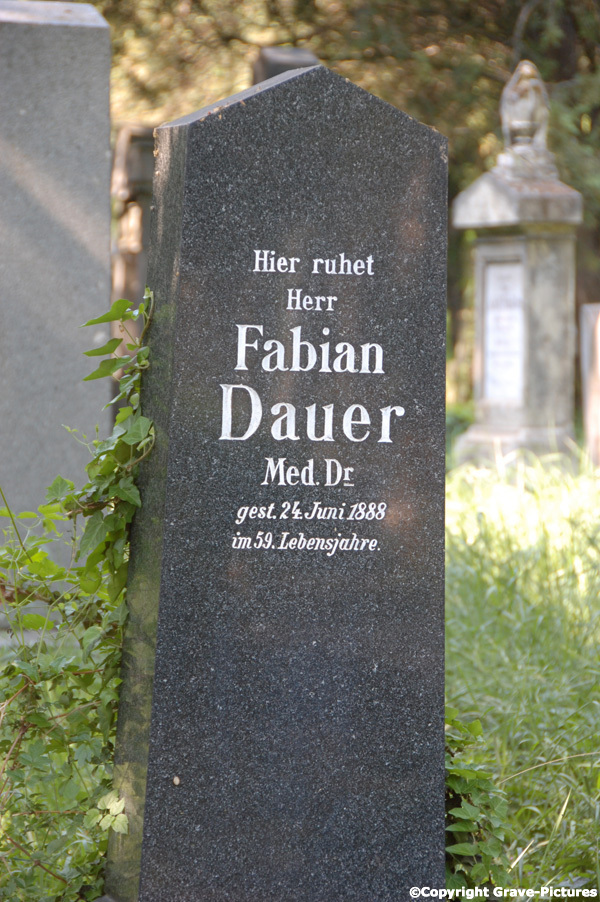 Dauer Fabian Dr.