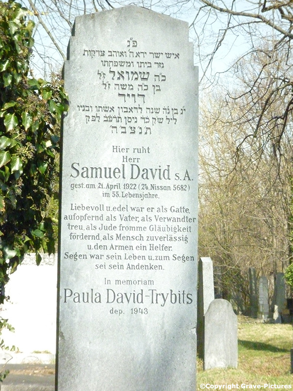 David Samuel