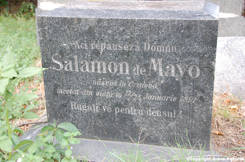 De Mayo Salamon