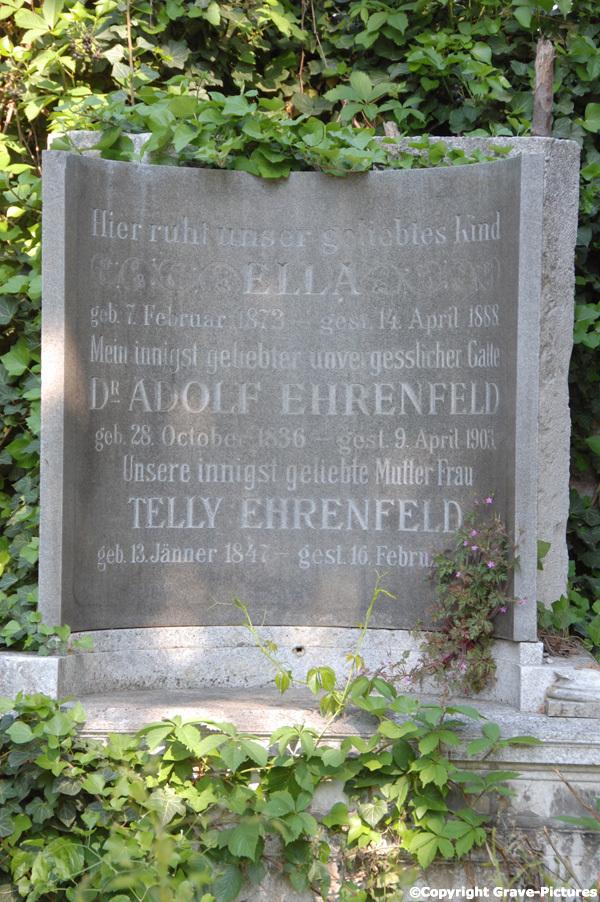 Ehrenfeld Adolf Dr.