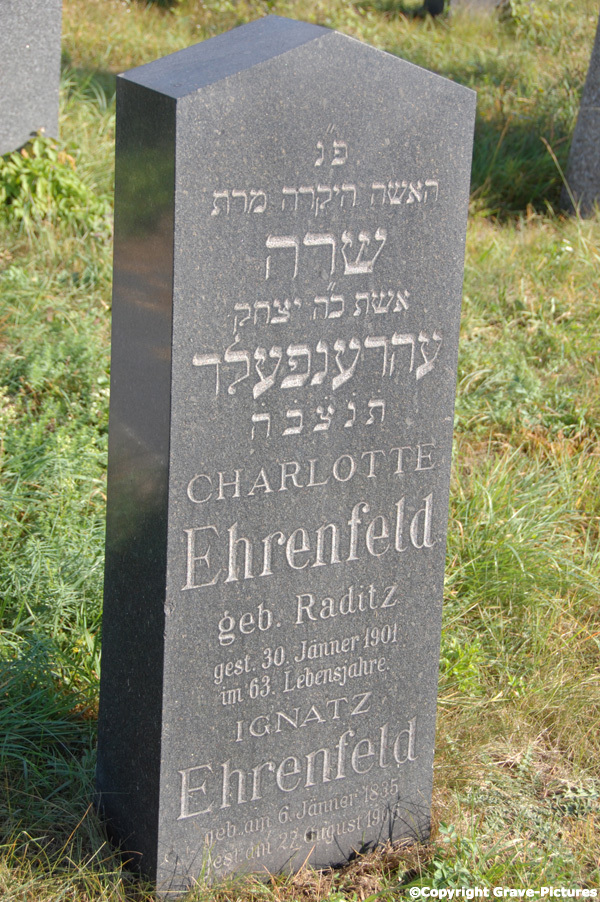 Ehrenfeld Ignatz
