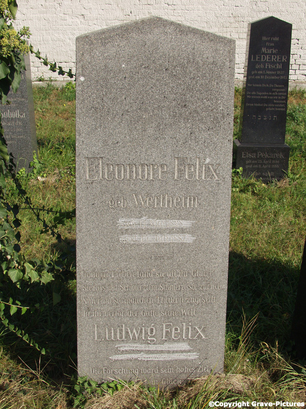 Felix Ludwig