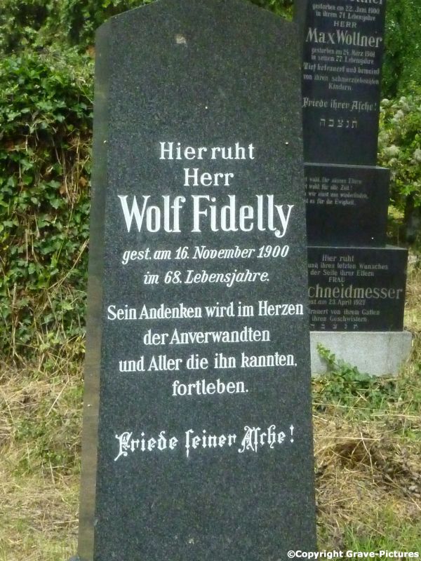 Fidelly Wolf