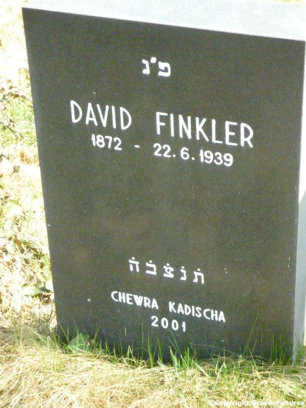 Finkler David