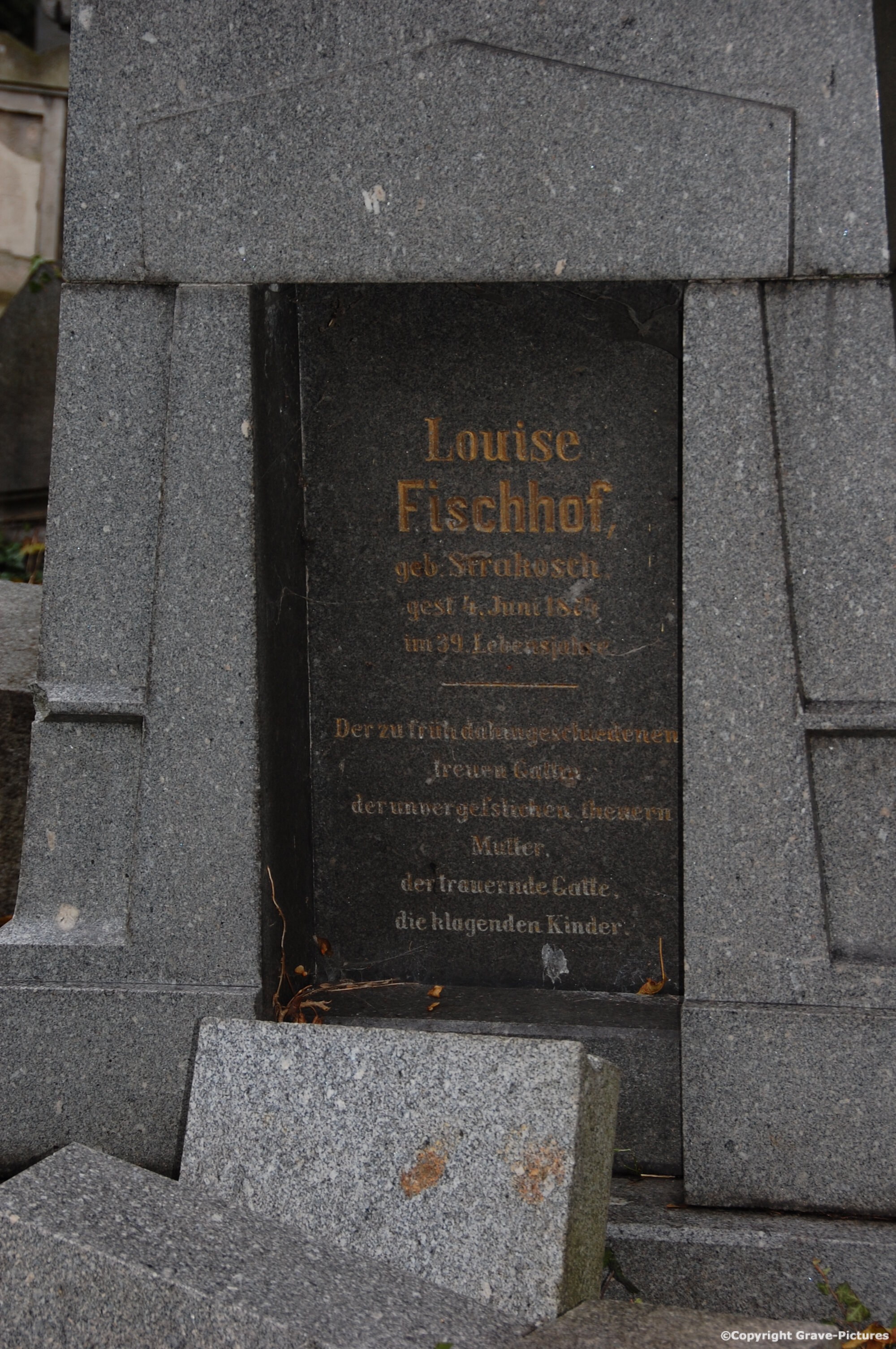 Fischhof Louise