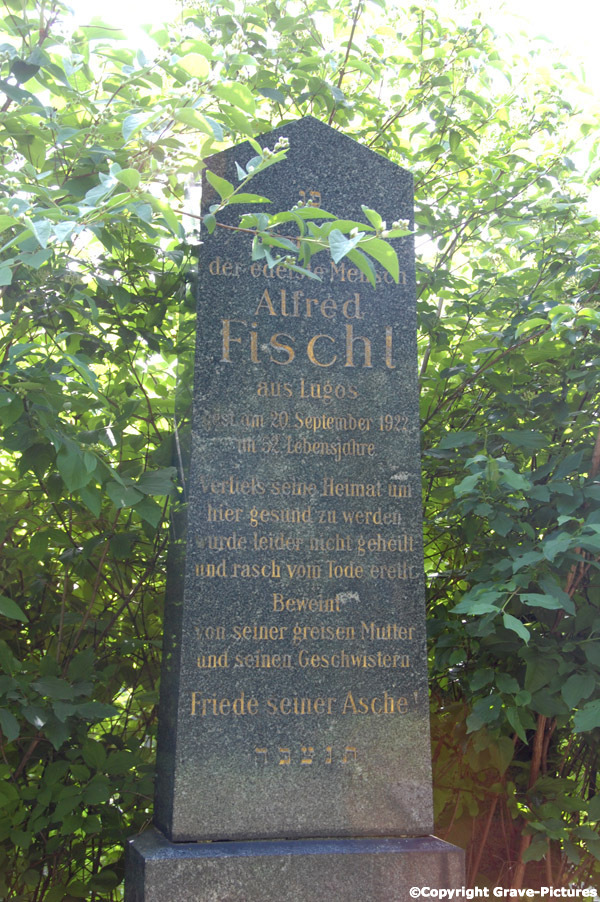 Fischl Alfred