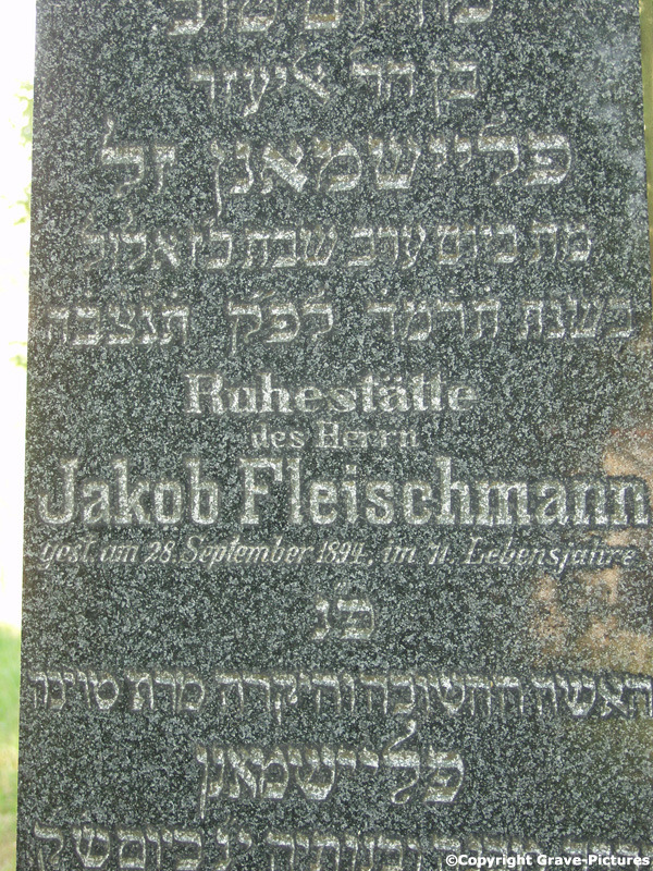 Fleischmann Jakob