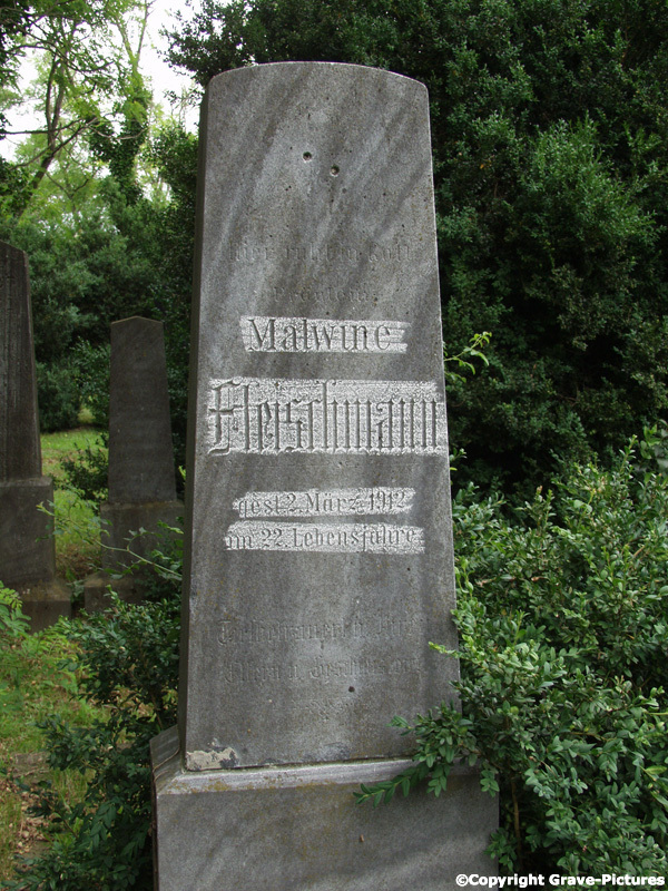 Fleischmann Malwine