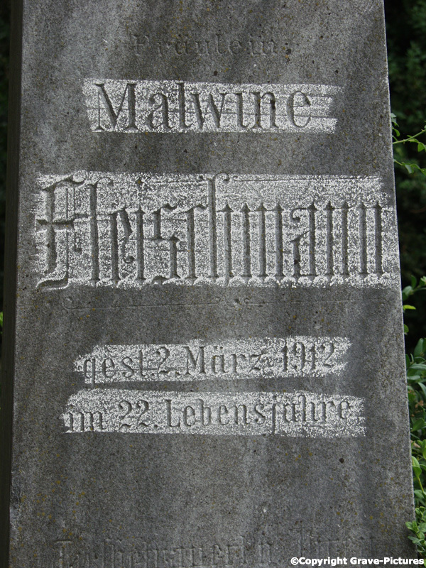 Fleischmann Malwine