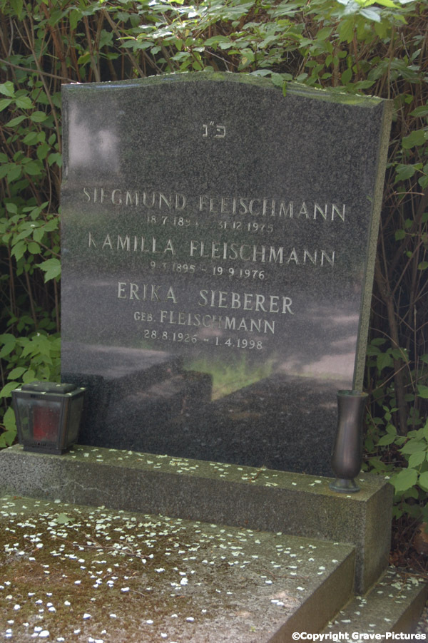 Fleischmann Siegmund
