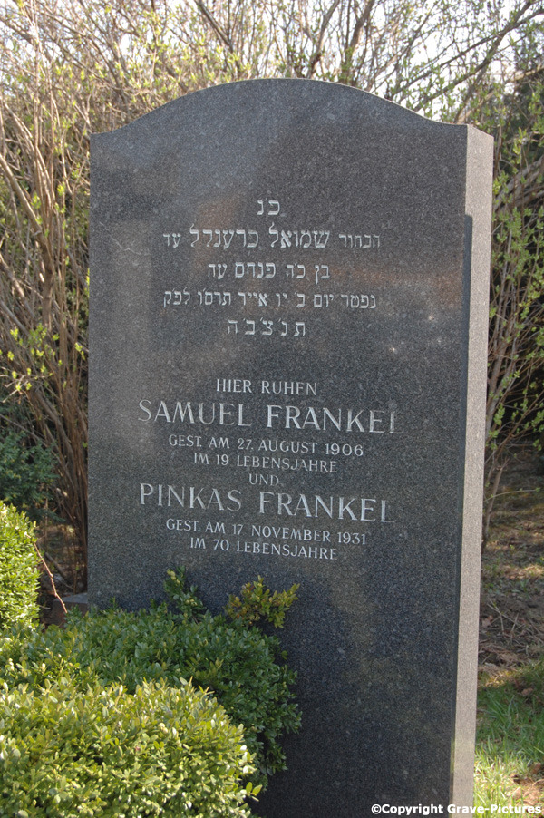 Frankel Samuel