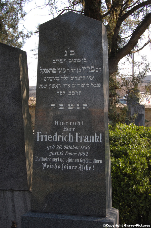Frankl Friedrich