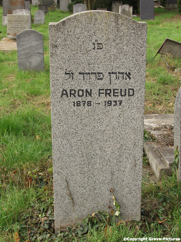 Freud Aron