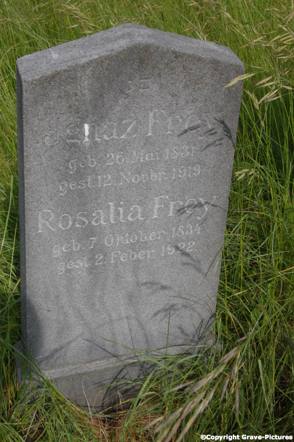 Frey Rosalia