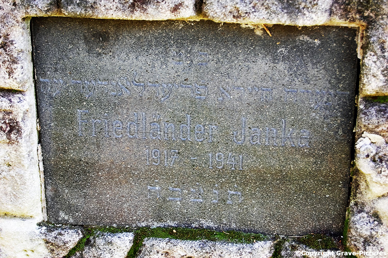 Friedländer Janka