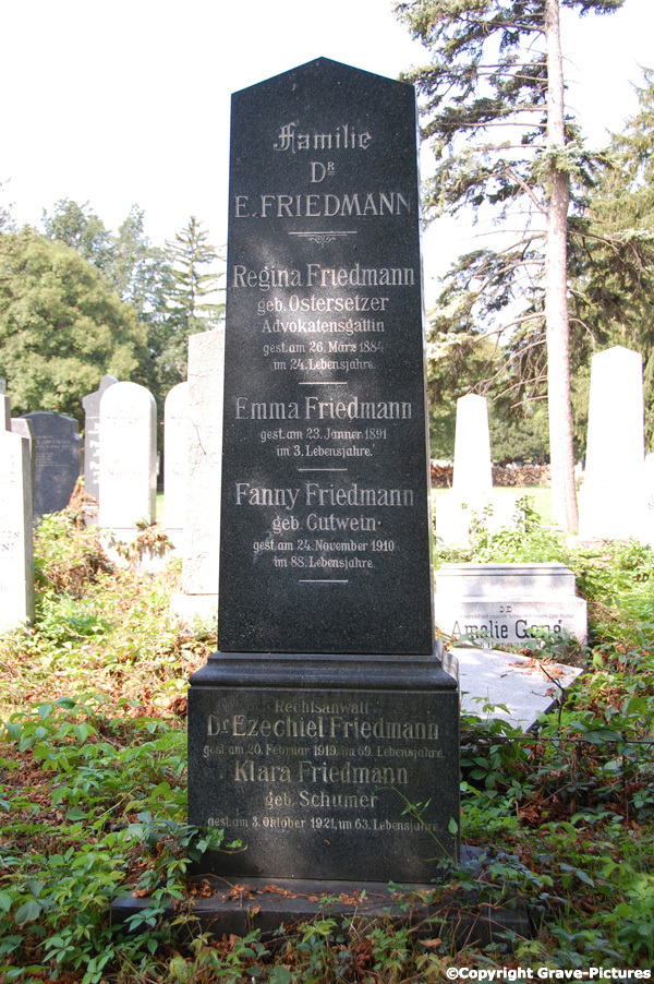Friedmann Ezechiel Dr.