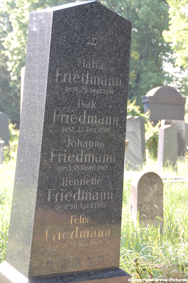 Friedmann Isak