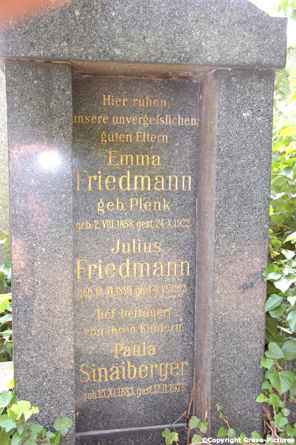 Friedmann Julius