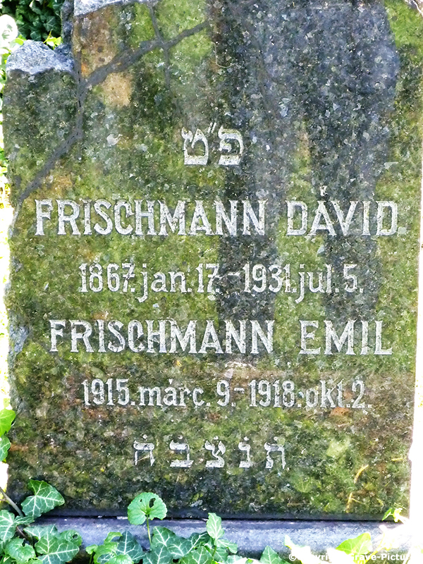 Frischmann David