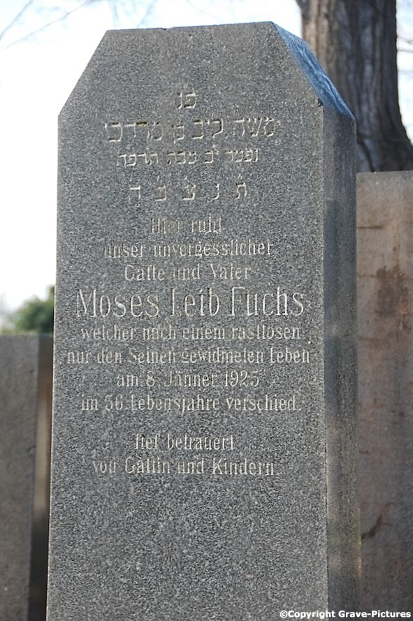 Fuchs Moses Leib