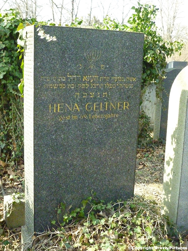 Geltner Hena Hennia