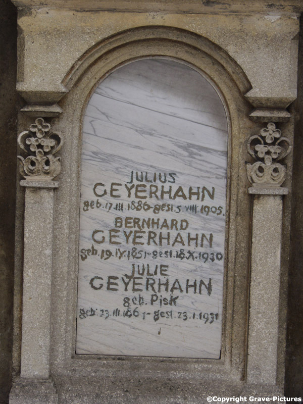 Geyerhahn Julius