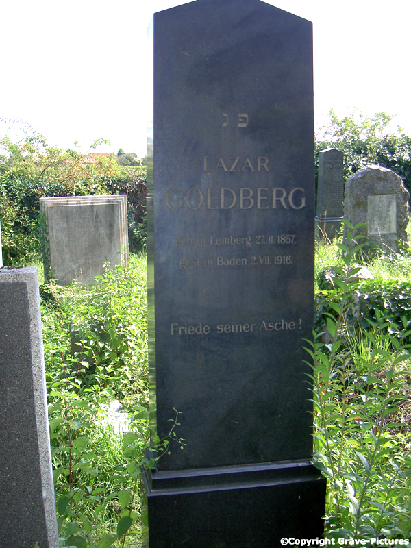 Goldberg Lazar