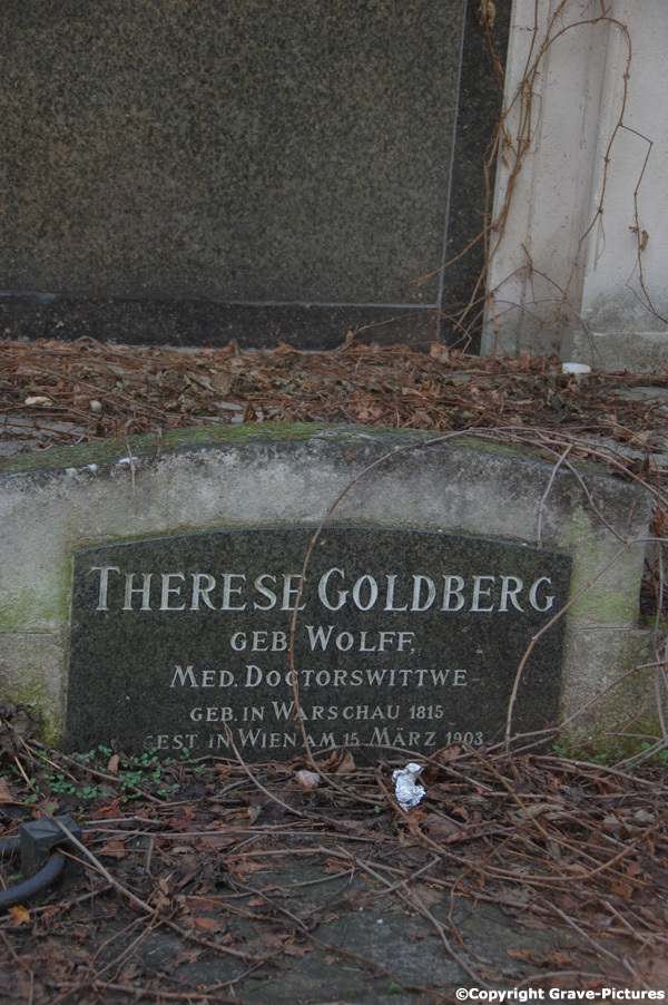 Goldberg Therese