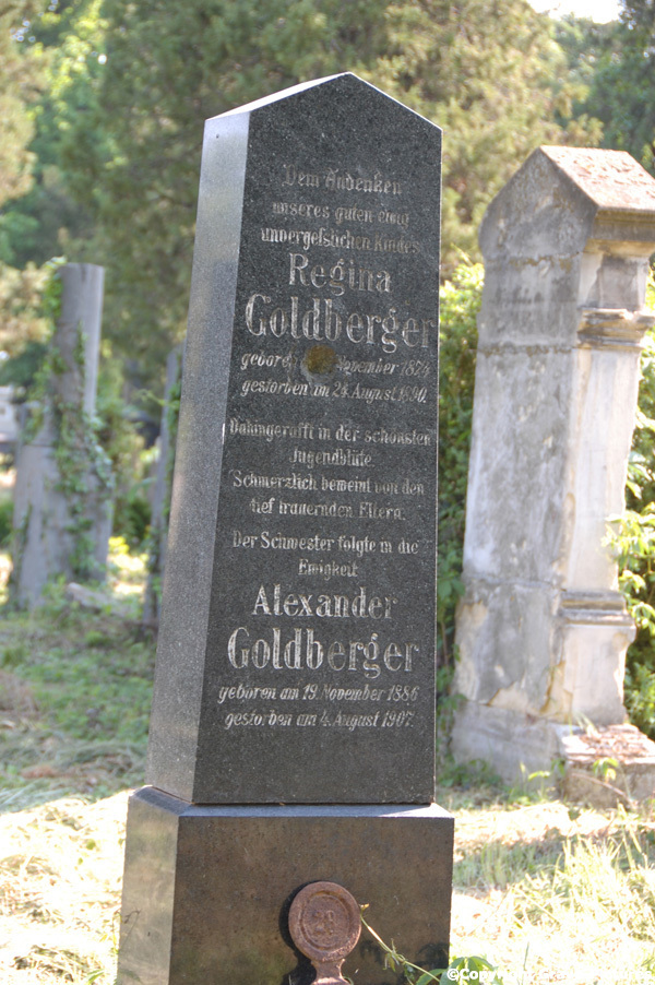 Goldberger Alexander