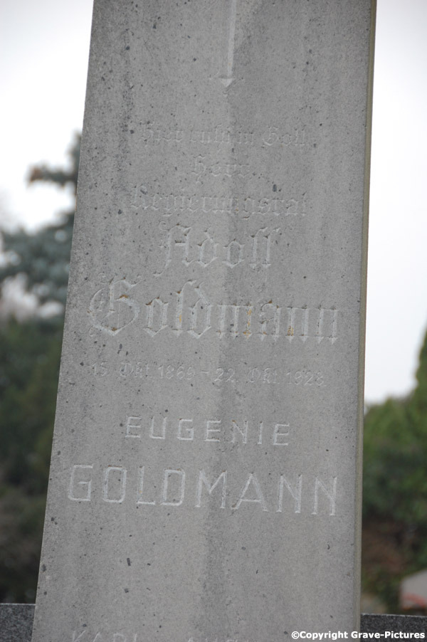 Goldmann Adolf