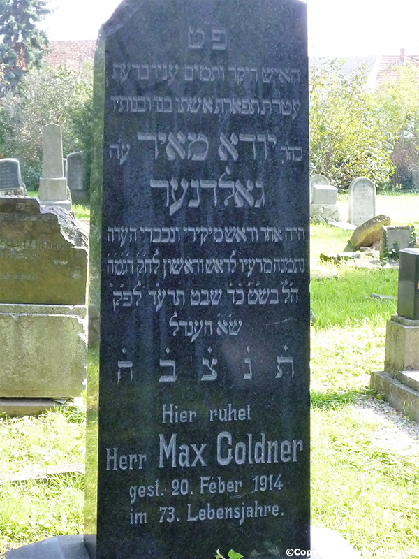 Goldner Max