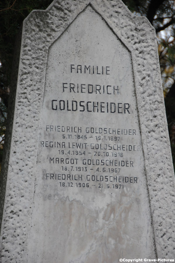Goldscheider Friedrich