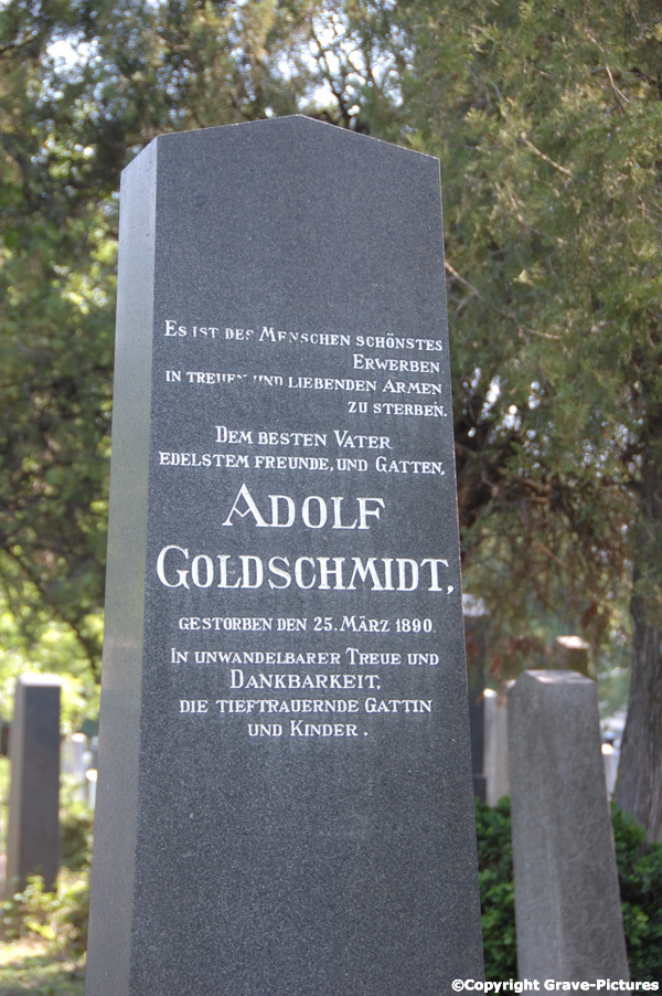 Goldschmidt Adolf