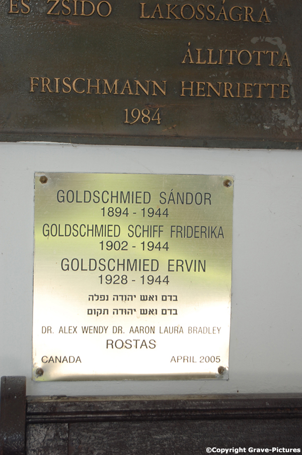 Goldschmied Friderika