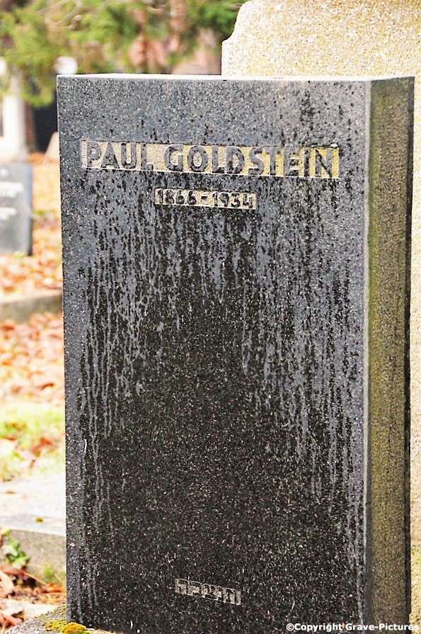 Goldstein Paul