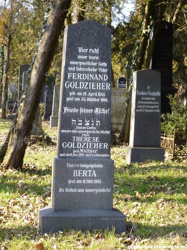 Goldzieher Berta