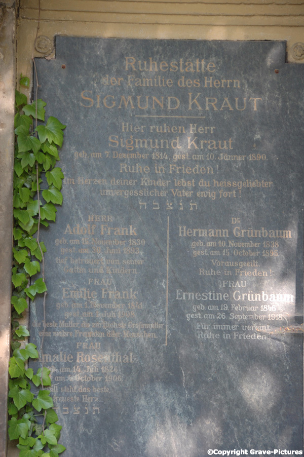 Grünbaum Hermann