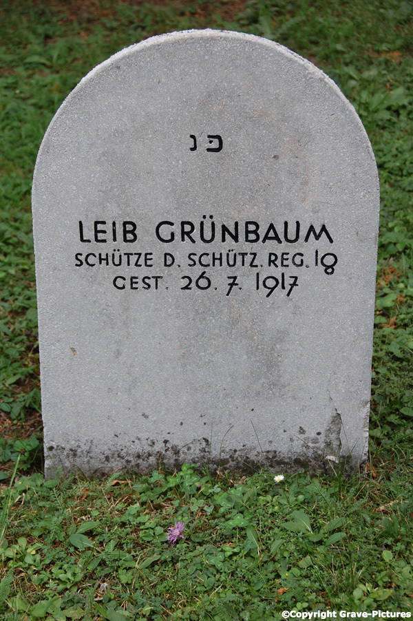 Grünbaum Leib
