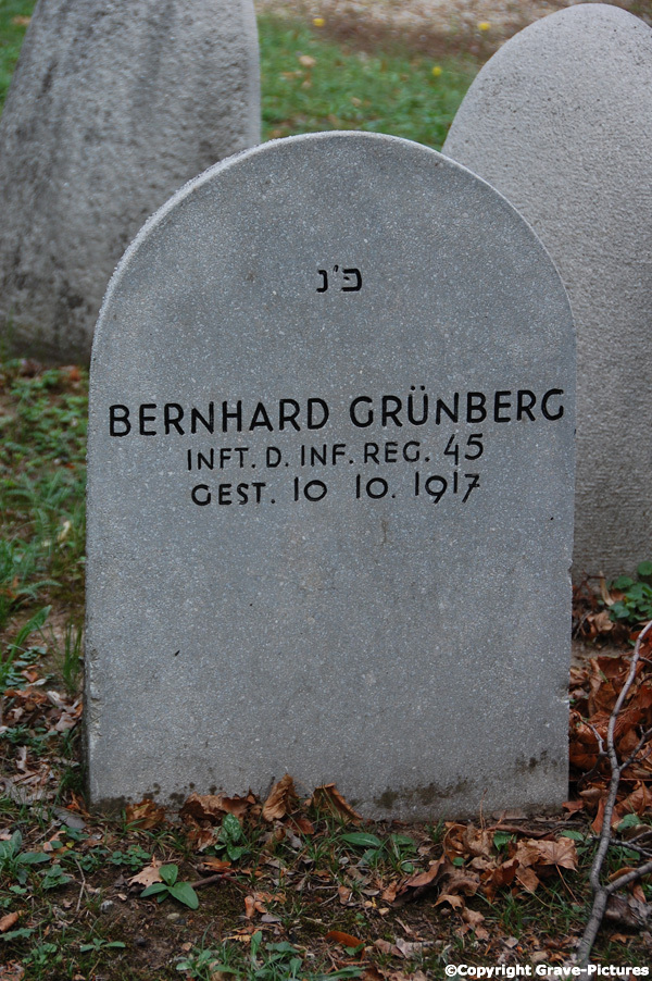 Grünberg Bernhard