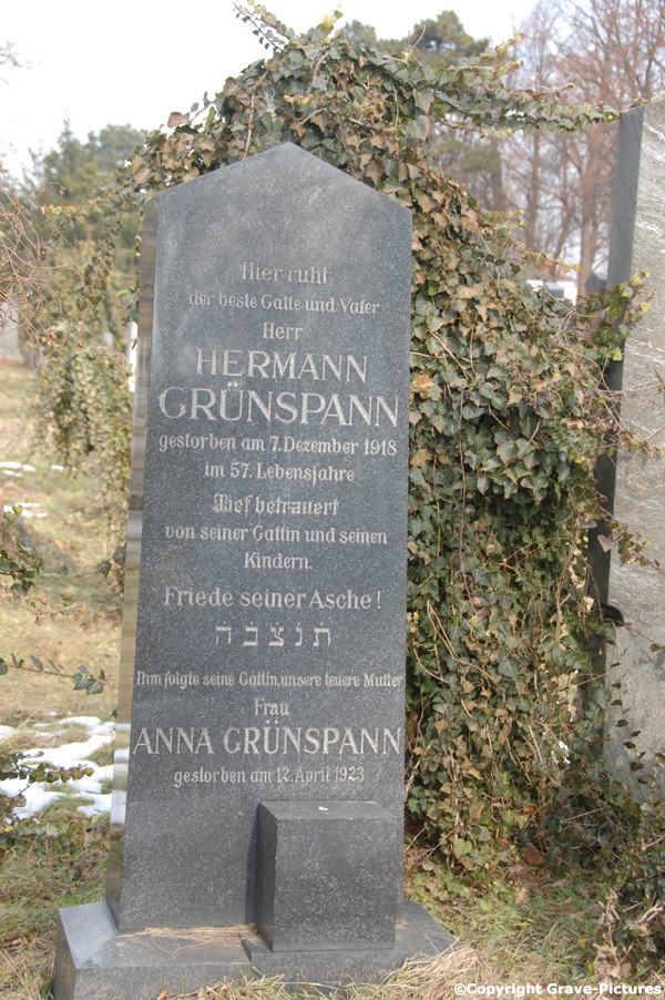Grünspann Hermann