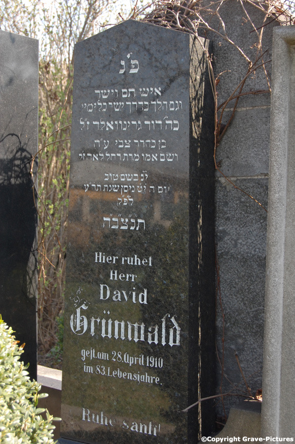 Grünwald David