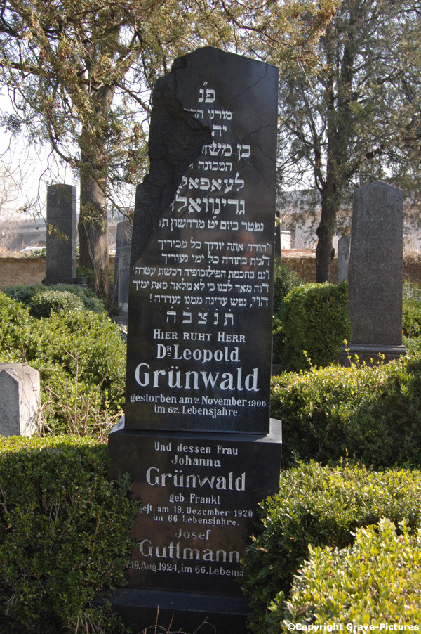 Grünwald Johanna