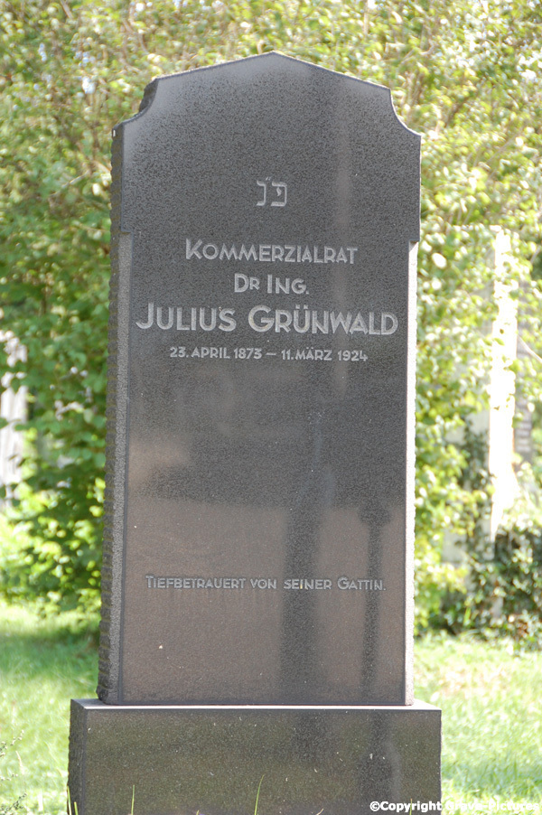 Grünwald Julius Dr.