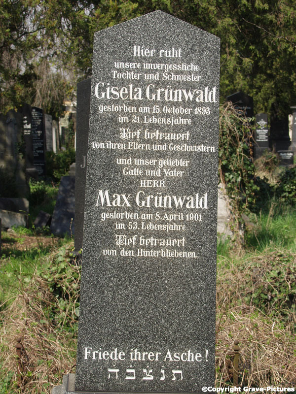 Grünwald Rosa