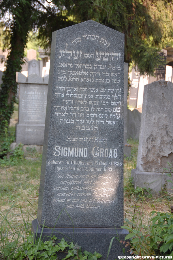 Groag Sigmund