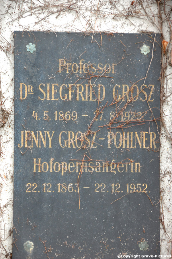 Grosz Siegfried Dr.