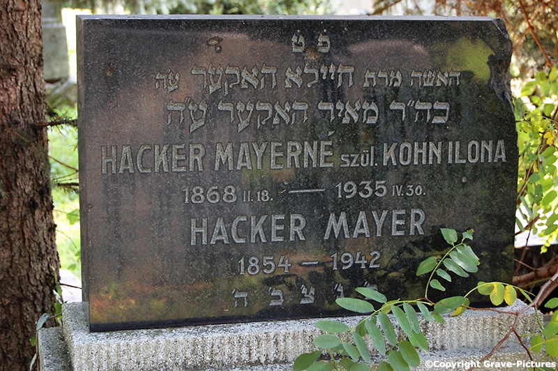Hacker Mayer