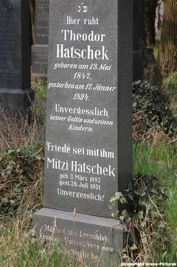 Hatschek Theodor